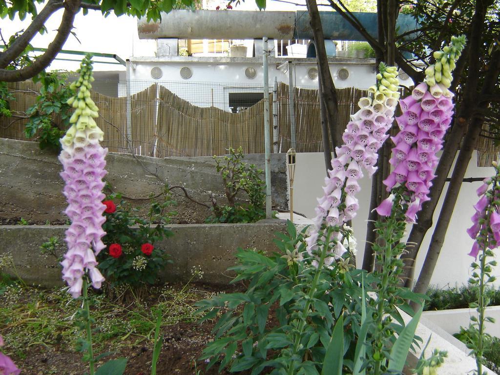 Apartmani Luna Hvar Town Ruang foto