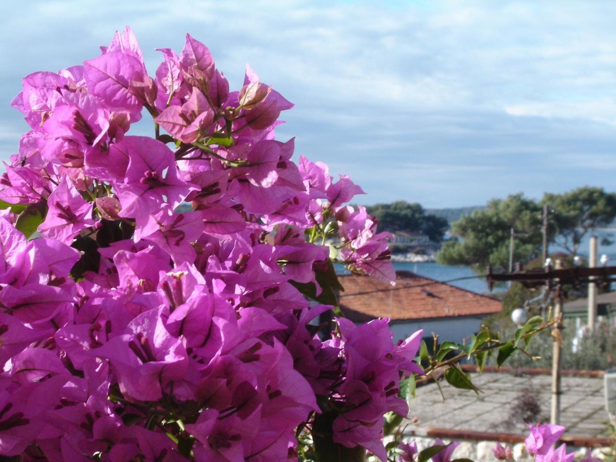 Apartmani Luna Hvar Town Bagian luar foto