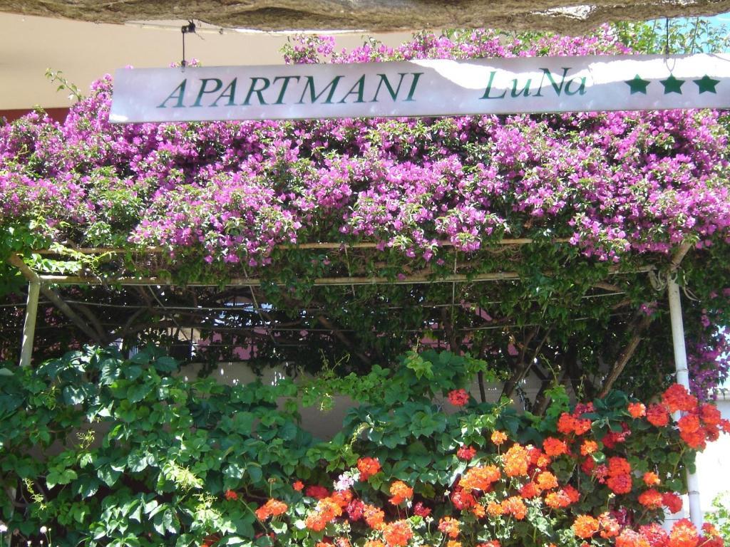 Apartmani Luna Hvar Town Bagian luar foto